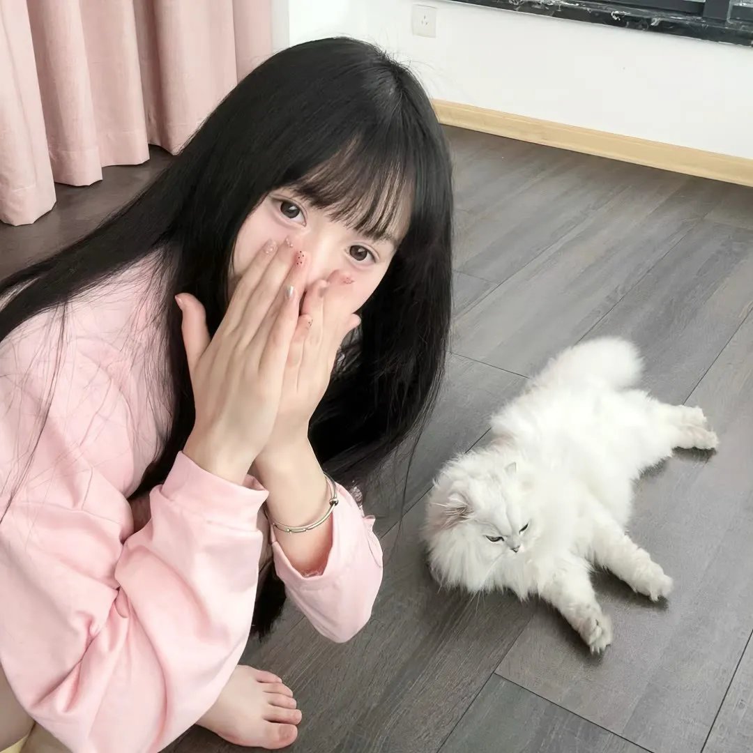 小林家的龙女仆第二季